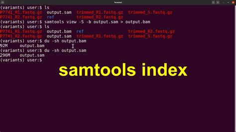 I tried the following command : samtools index *. . Index bam file